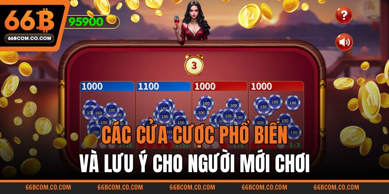 Các cửa cược phổ biến và lưu ý cho người mới chơi