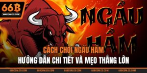 Cách Chơi Ngầu Hầm: Hướng Dẫn Chi Tiết Và Mẹo Thắng Lớn