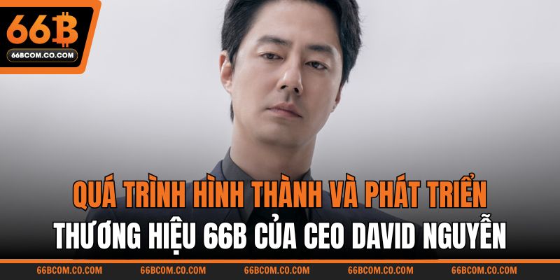 Quá trình hình thành và phát triển 66B của CEO David Nguyễn