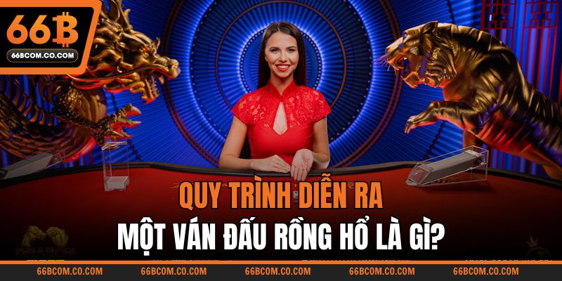 Quy trình diễn ra một ván đấu Rồng Hổ là gì?