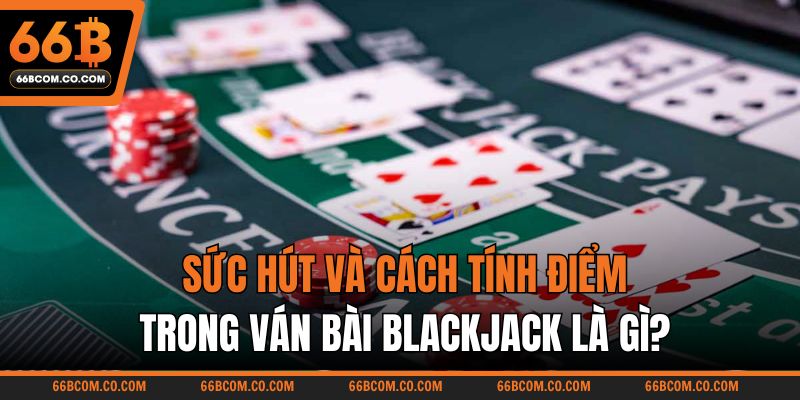 Sức hút và cách tính điểm trong ván bài Blackjack là gì?