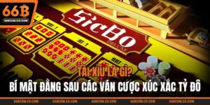 Tài Xỉu Là Gì? Bí Mật Đằng Sau Các Ván Cược Xúc Xắc Tỷ Đô