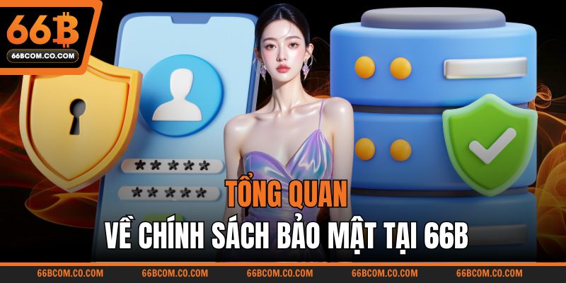 Tổng quan về chính sách bảo mật tại 66B