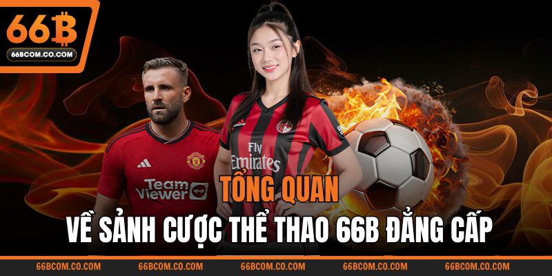 Tổng quan về sảnh cược thể thao 66B đẳng cấp