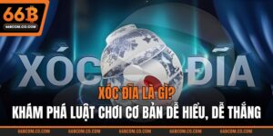 Xóc Đĩa Là Gì? Khám Phá Luật Chơi Cơ Bản Dễ Hiểu, Dễ Thắng